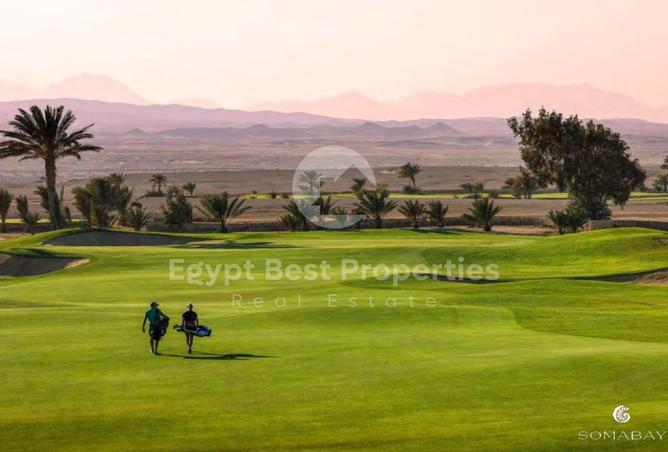 8581005 - صورة العقار 2