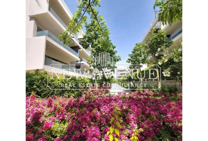 60956510 - صورة العقار 3