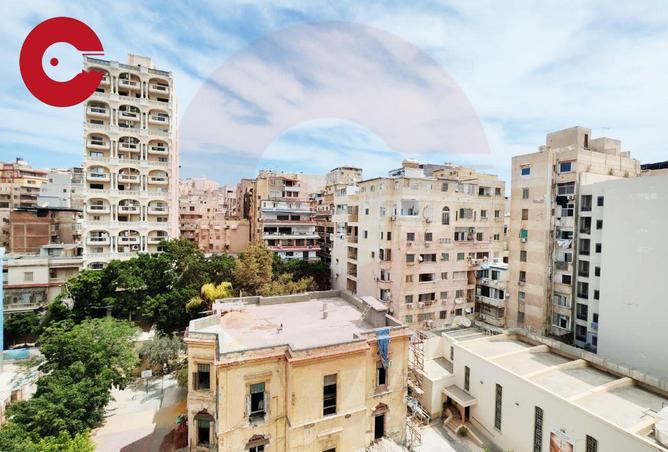 81318076 - صورة العقار 3