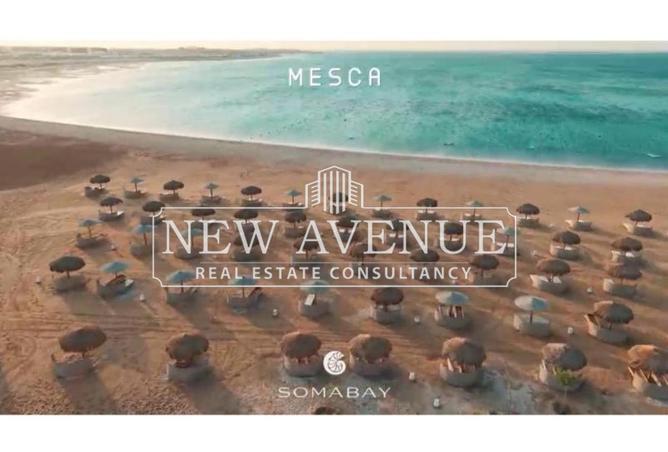 64636723 - Property Image 3