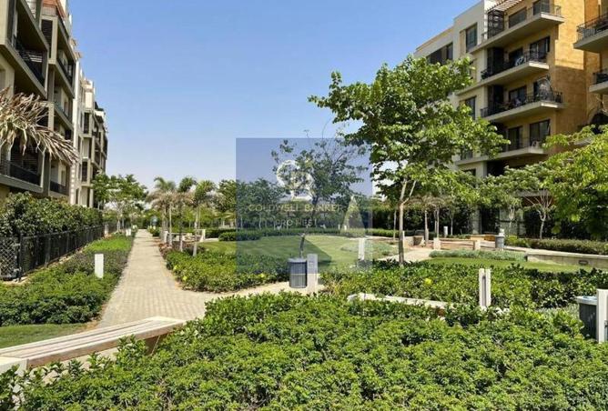 8564877 - Property Image 2