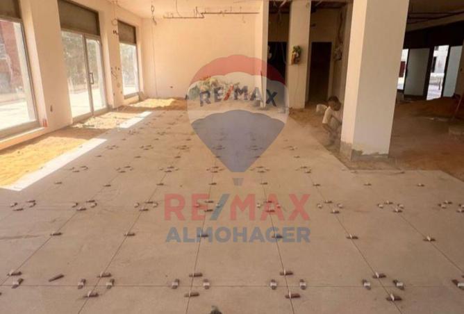 8609928 - Property Image 3