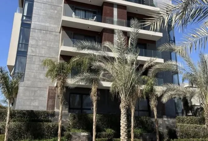 115714910 - صورة العقار 3