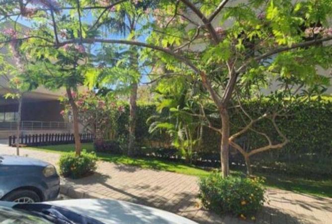 70108816 - Property Image 3