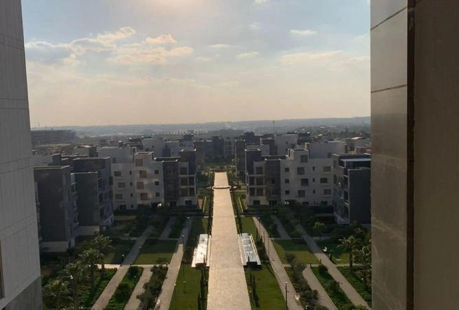 54233620 - صورة العقار 2