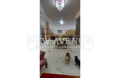 Duplex - 4 Bedrooms - 4 Bathrooms for sale in Area G - Ganoob El Acadimia - New Cairo City - Cairo