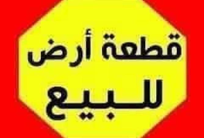 88681189 - صورة العقار 3