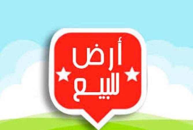 88681189 - صورة العقار 2