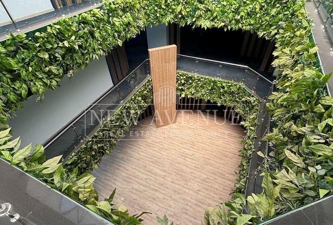98002388 - Property Image 3