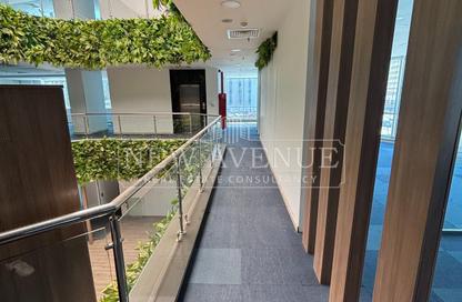 Whole Building - Studio - 5 Bathrooms for rent in Bank Center Street - South Teseen St. - The 5th Settlement - New Cairo City - Cairo