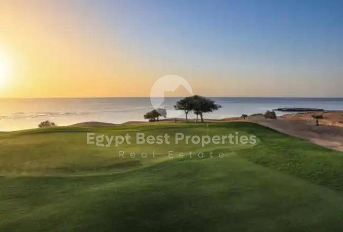 52721256 - Property Image 3