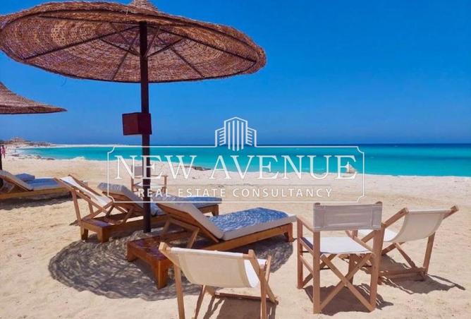 56746944 - صورة العقار 3