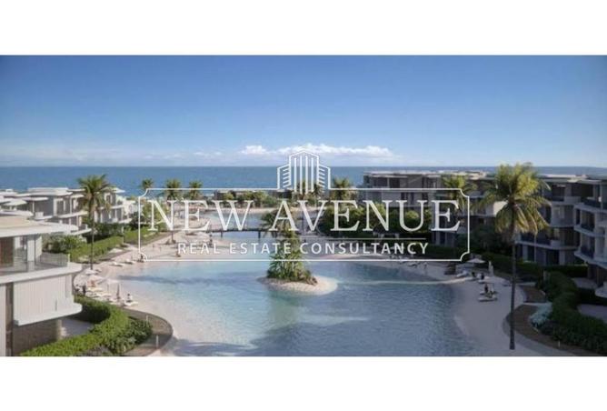 63145504 - صورة العقار 3