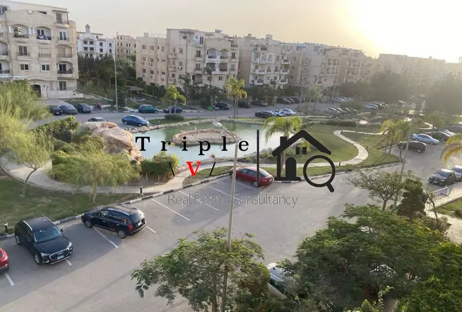 116487356 - Property Image 3