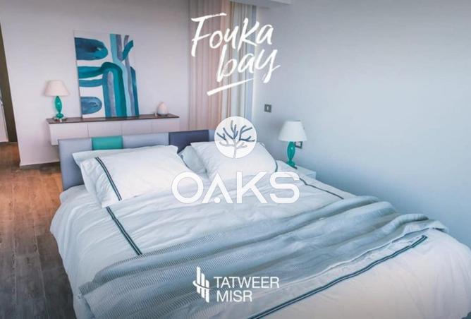 62402914 - Property Image 2