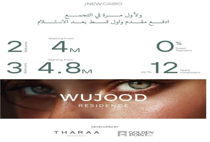 67737564 - صورة العقار 2