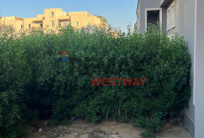 54761826 - صورة العقار 2