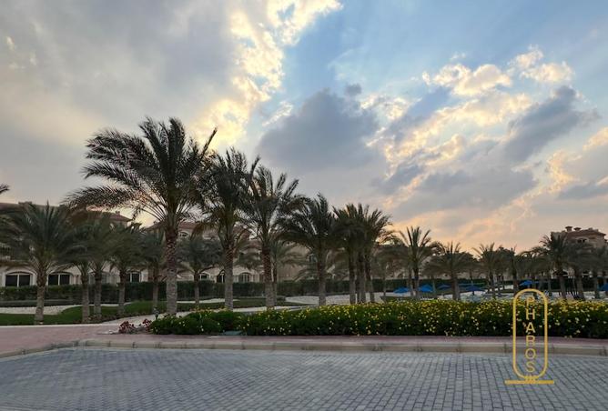 95477436 - صورة العقار 2