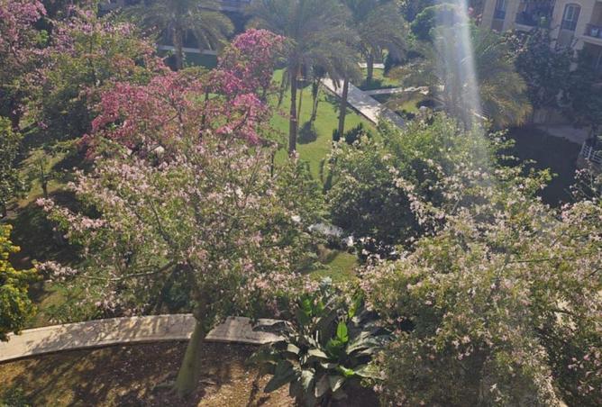 62400295 - Property Image 2