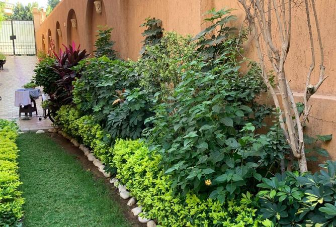 102073903 - صورة العقار 3