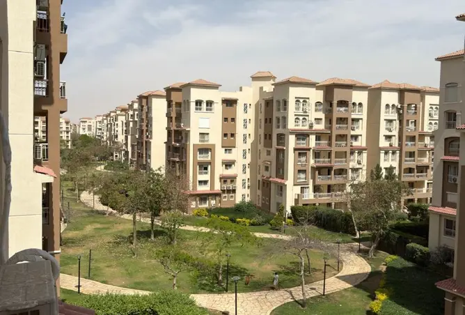 116753045 - Property Image 3