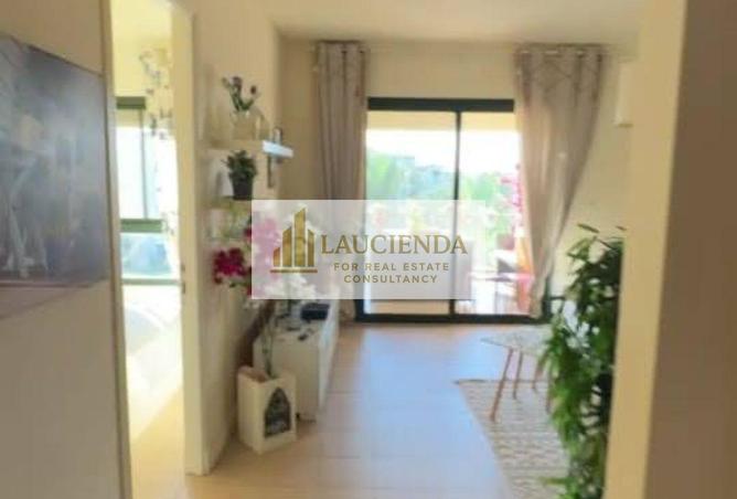 8687971 - Property Image 3