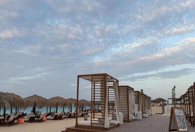 59497002 - صورة العقار 3