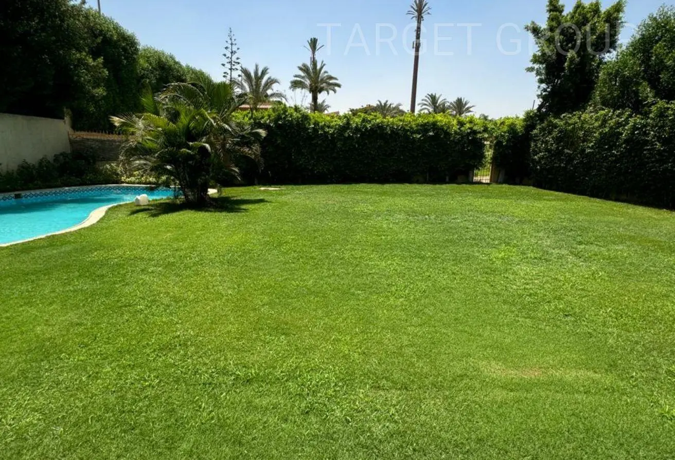 117025971 - الصورة الرئيسية للعقار