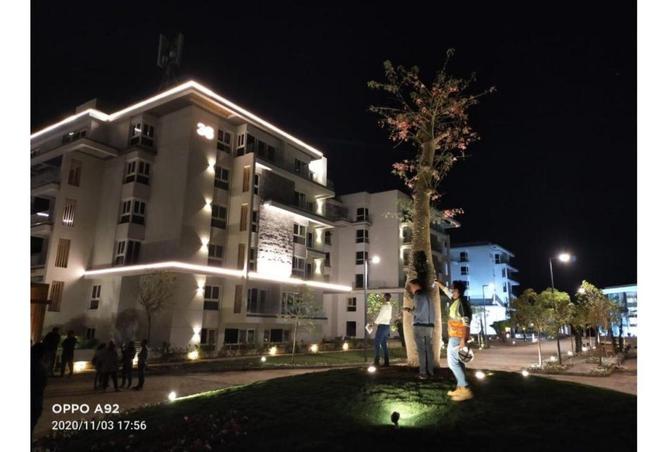 73505648 - Property Image 2