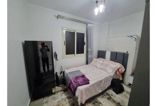 8636204 - Property Image 2