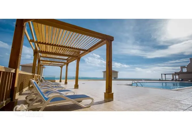 109635446 - Property Image 3