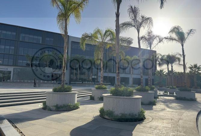 66431409 - Property Image 2