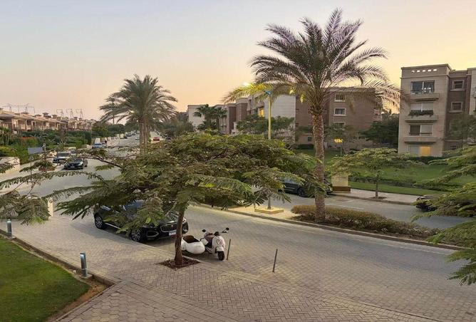 64383218 - Property Image 3