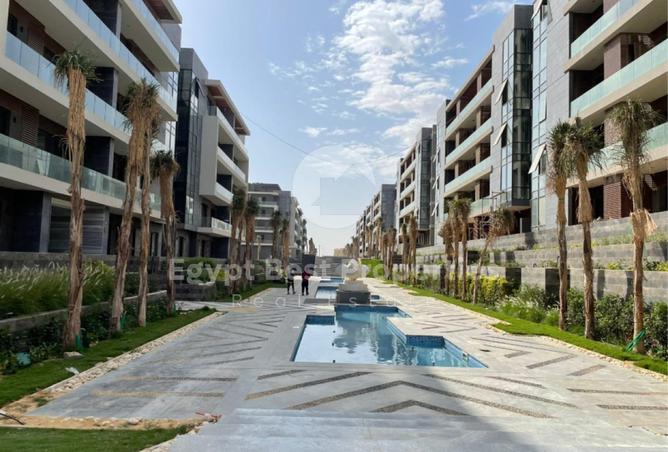 52971955 - Property Image 3