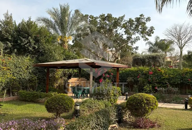 101486429 - صورة العقار 3