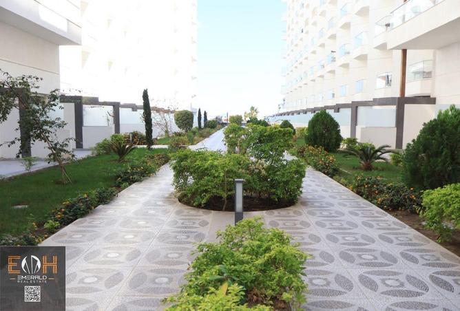 68800288 - صورة العقار 3