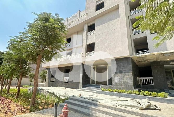 64385018 - صورة العقار 2