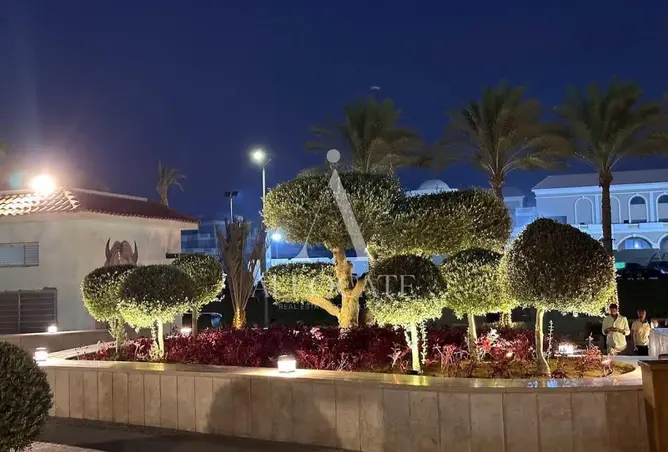 103193565 - صورة العقار 3