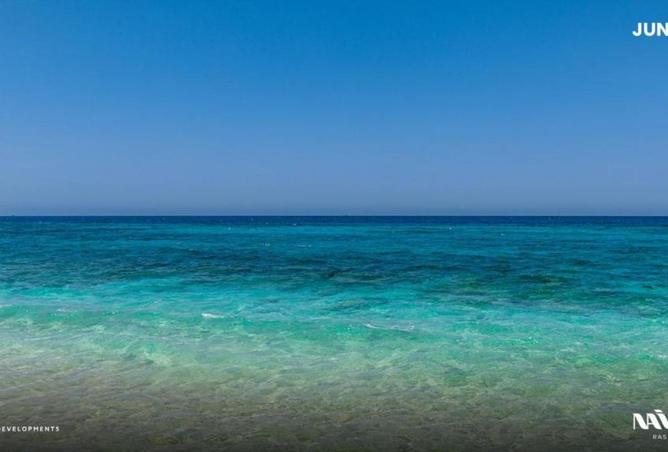 68536640 - صورة العقار 3