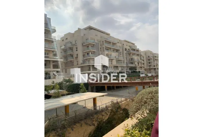 110758382 - Property Image 3