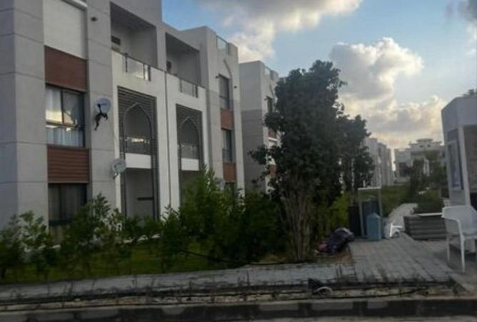 8570642 - Property Image 3