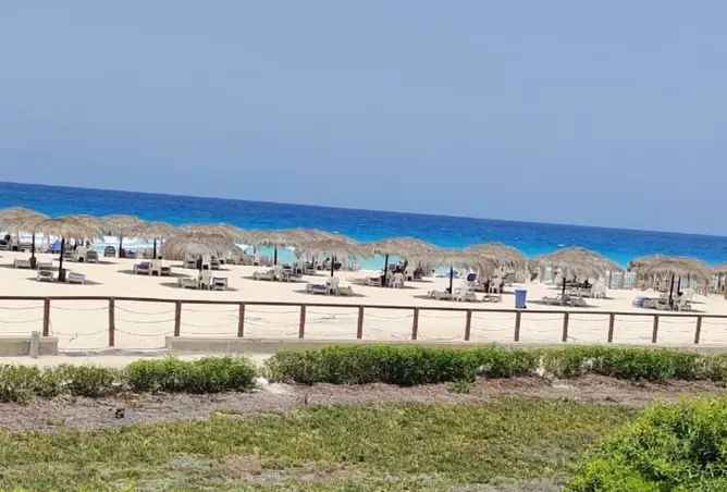 113532820 - صورة العقار 2