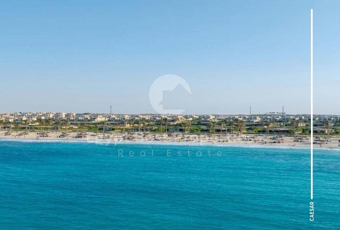 61692463 - Property Image 3