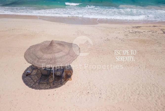 61692463 - Property Image 2