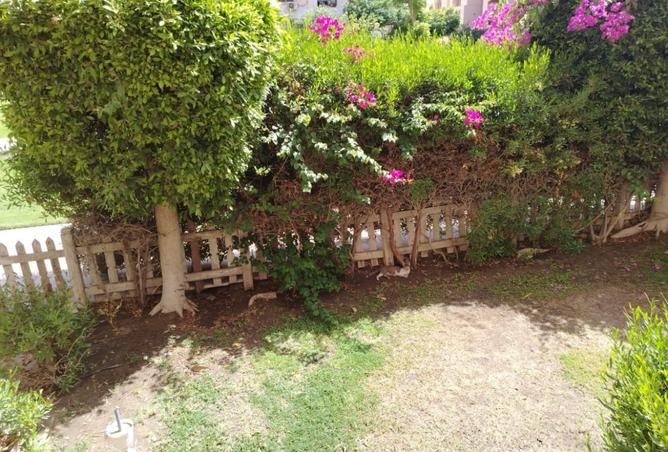 100649286 - الصورة الرئيسية للعقار
