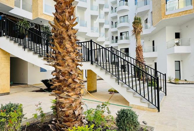 67477185 - Property Image 3