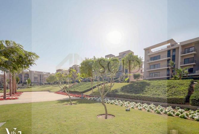 66168249 - Property Image 3