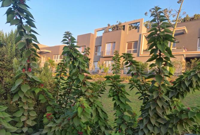 61930358 - الصورة الرئيسية للعقار