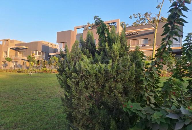 61930358 - صورة العقار 2