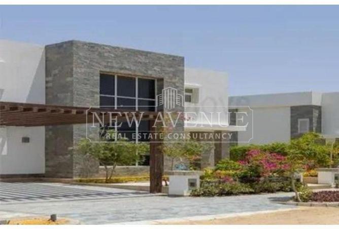 81043304 - Property Image 3